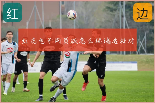 红虎电子网页版怎么玩域名核对